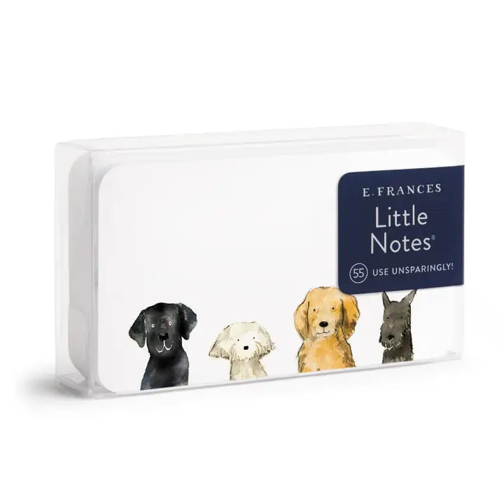 Little Notes Mini Notecards