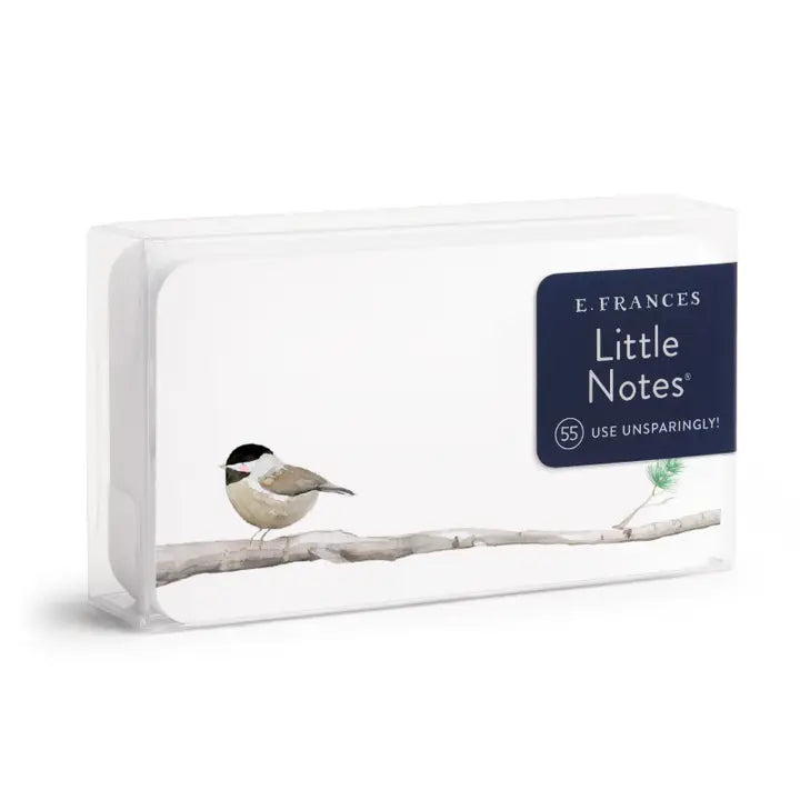 Little Notes Mini Notecards