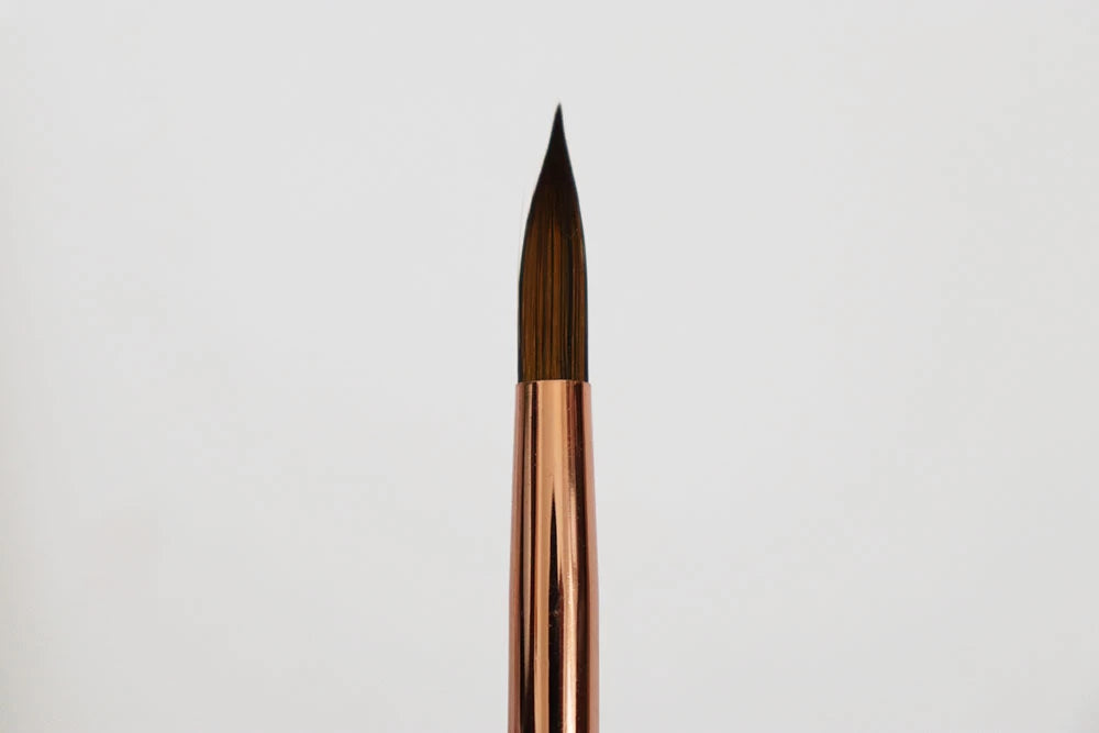 Wonder Forest Synthetic Brush, #10 Round Brush 