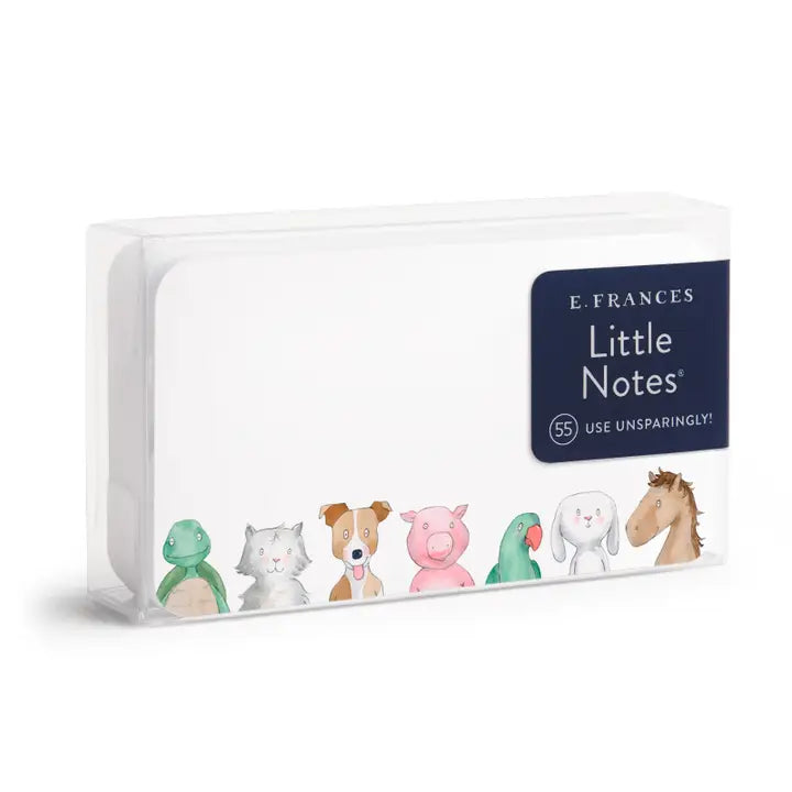 Little Notes Mini Notecards