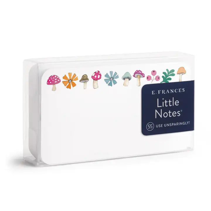 Little Notes Mini Notecards