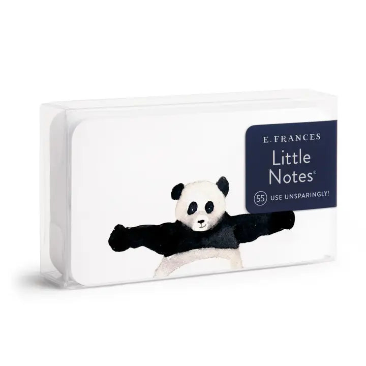 Little Notes Mini Notecards