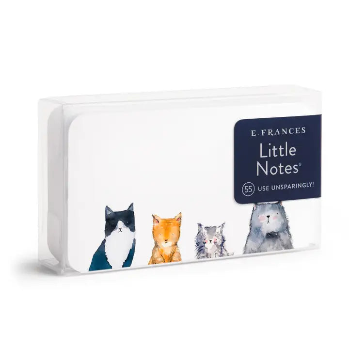 Little Notes Mini Notecards