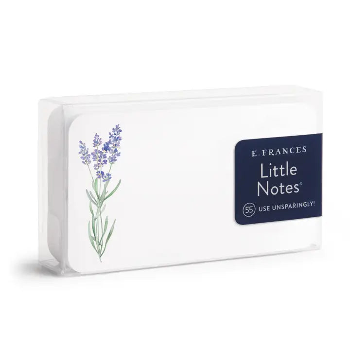 Little Notes Mini Notecards