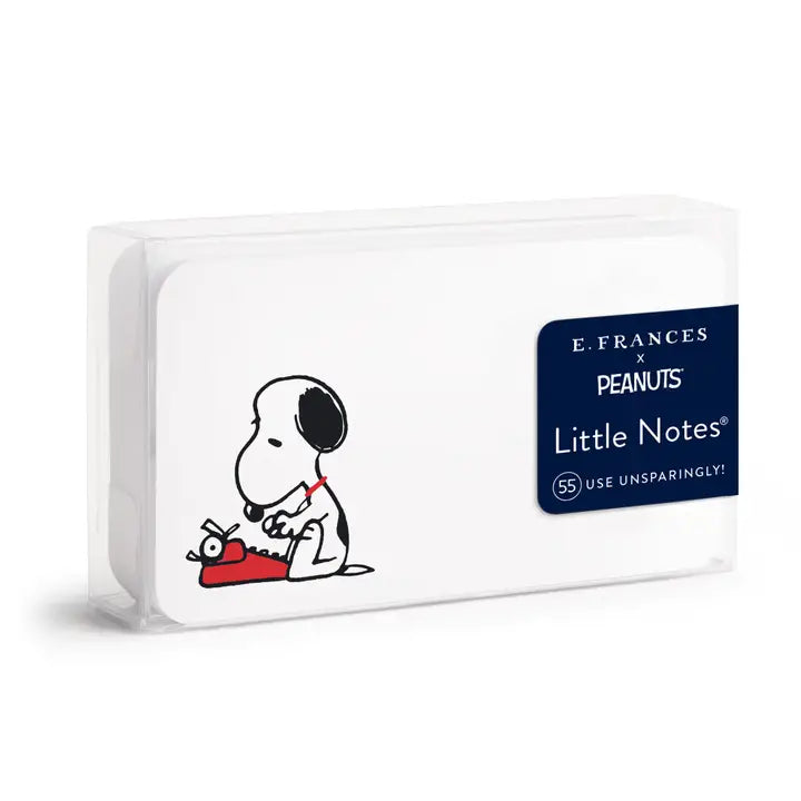 Little Notes Mini Notecards