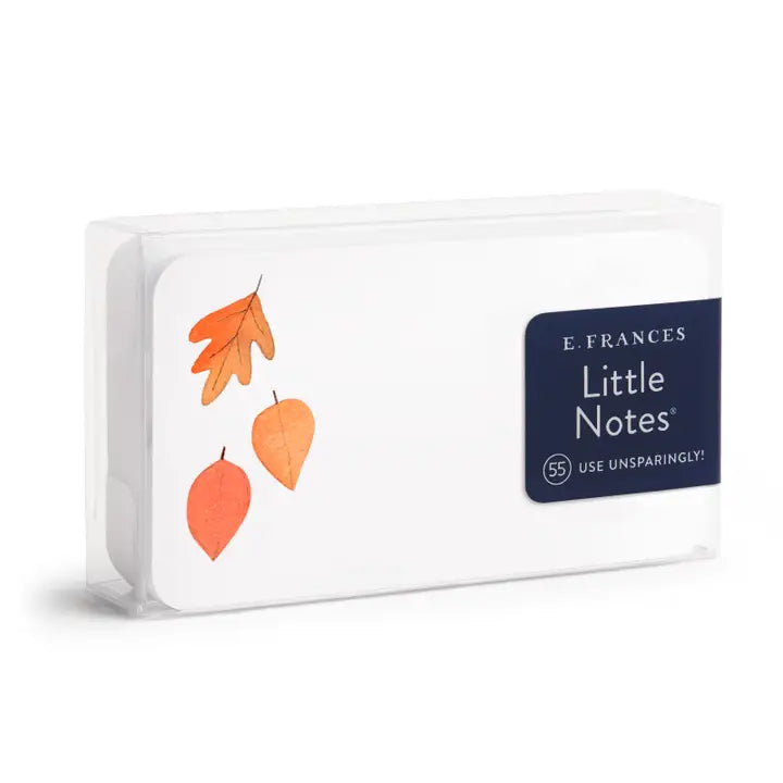 Little Notes Mini Notecards